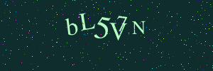 Validation image